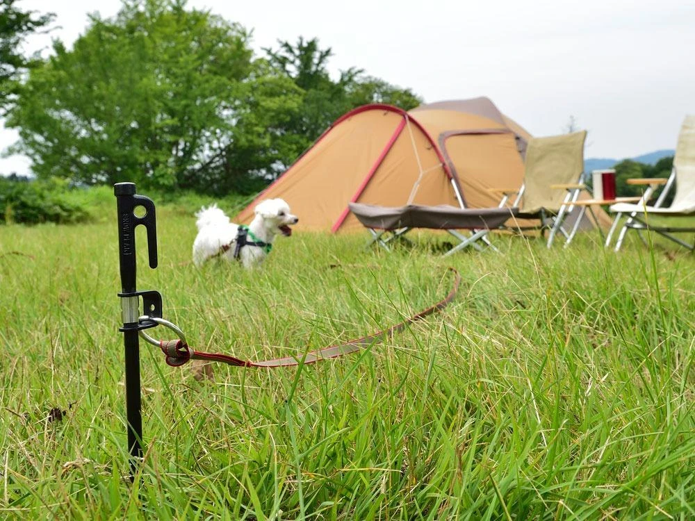 Snow Peak Dog Lead Anchor 50 6 Snow Peak Dog Lead Anchor 50 - Image 4