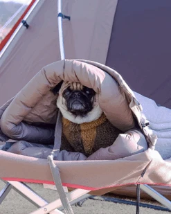 Snow Peak Dog Ofuton Sleeping Bag 18 Snow Peak Dog Ofuton Sleeping Bag -Outdoor Camping Sale PT 085 switch15 515Wx515H jpg