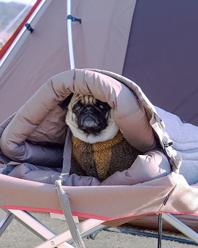 Snow Peak Dog Ofuton Sleeping Bag 9 Snow Peak Dog Ofuton Sleeping Bag - Image 7